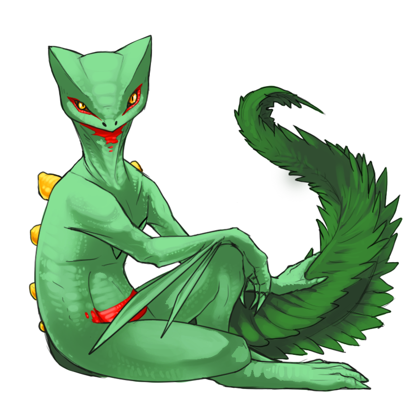 sceptile (pokemon) drawn by duroxas