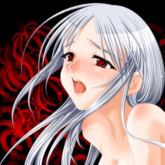 el (sound horizon and 1 more) drawn by amadera_shizuki