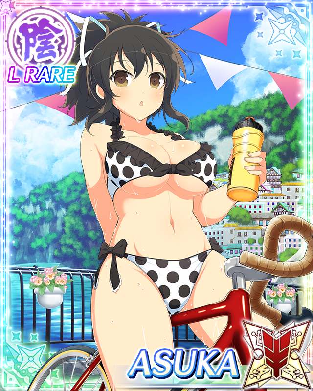 asuka (senran kagura and 1 more) drawn by yaegashi_nan