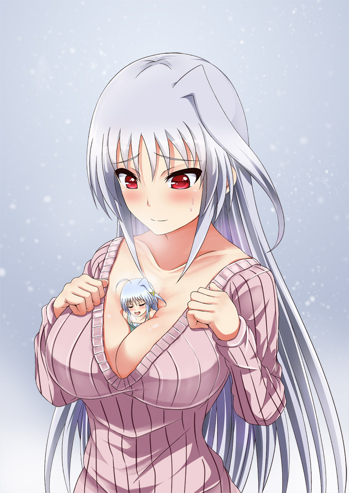 reinforce zwei and reinforce (lyrical nanoha and 3 more) drawn by inoshira