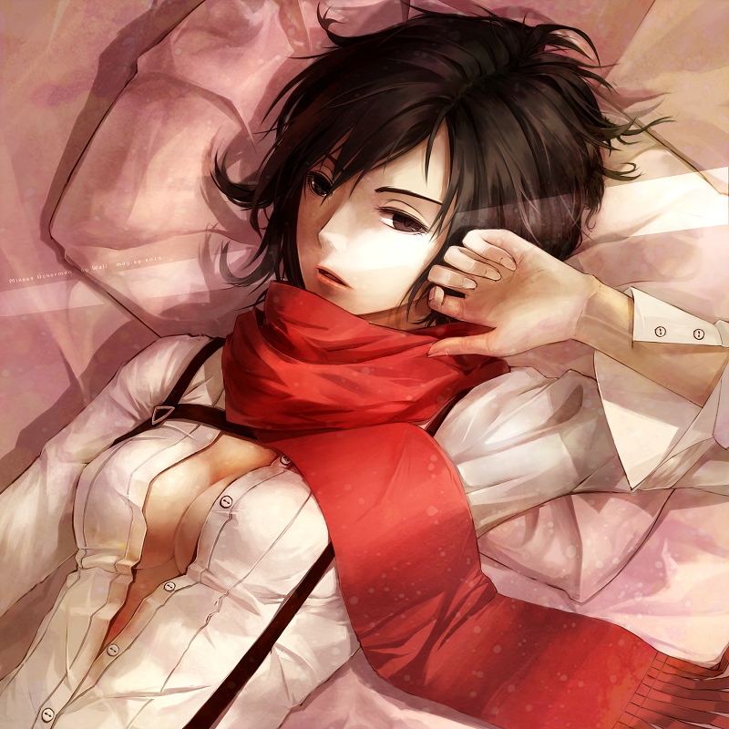 mikasa ackerman (shingeki no kyojin) drawn by wail_(wailwind)