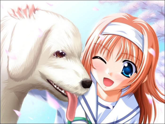 amakase miharu (da capo and 1 more) drawn by nanao_naru