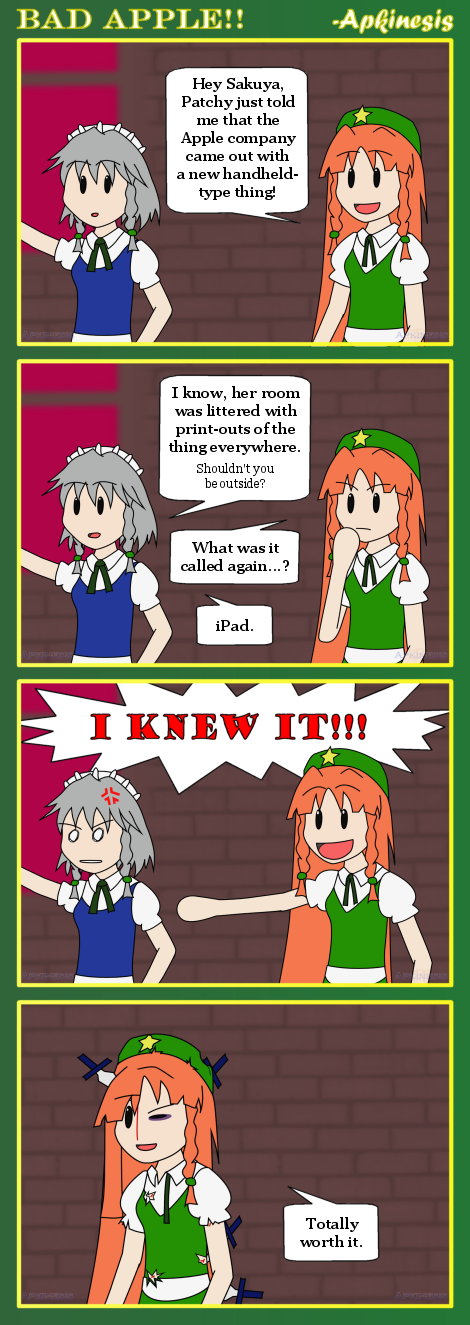 izayoi sakuya and hong meiling (touhou) drawn by apkinesis