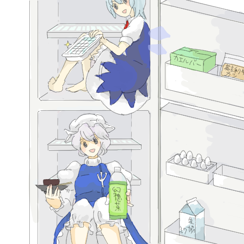 cirno and letty whiterock (touhou) drawn by asagi_(brickblock)