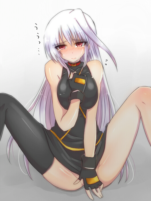 reinforce (lyrical nanoha and 2 more) drawn by mikaze