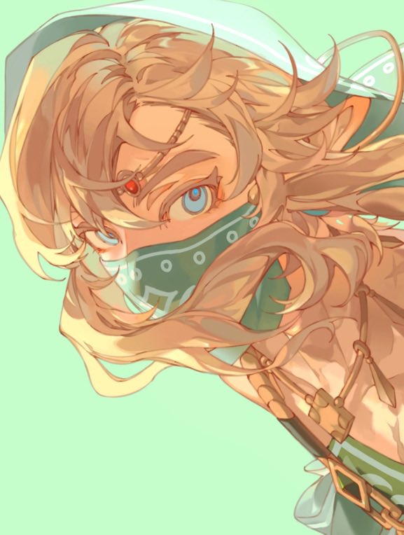 link (the legend of zelda and 1 more) drawn by starstruckdon