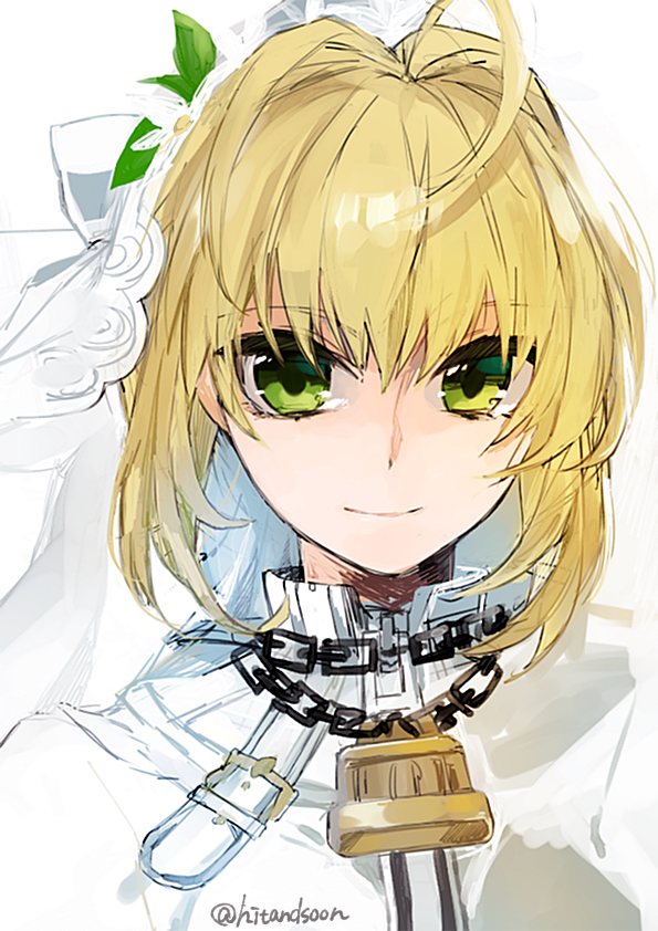 nero claudius (fate and 2 more) drawn by hita_(hitapita)