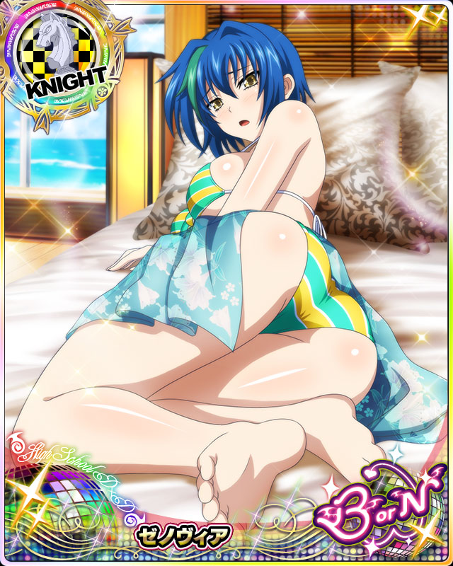 xenovia quarta (high school dxd and 1 more)