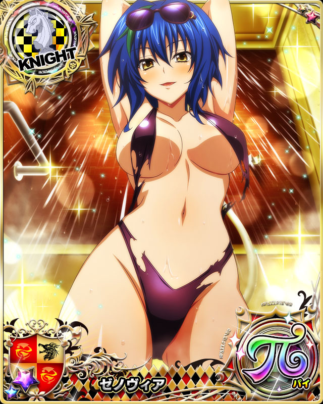 xenovia quarta (high school dxd and 1 more)