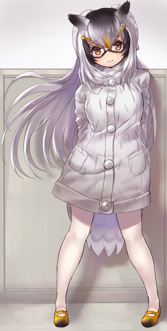 northern white-faced owl (kemono friends) drawn by tadano_magu