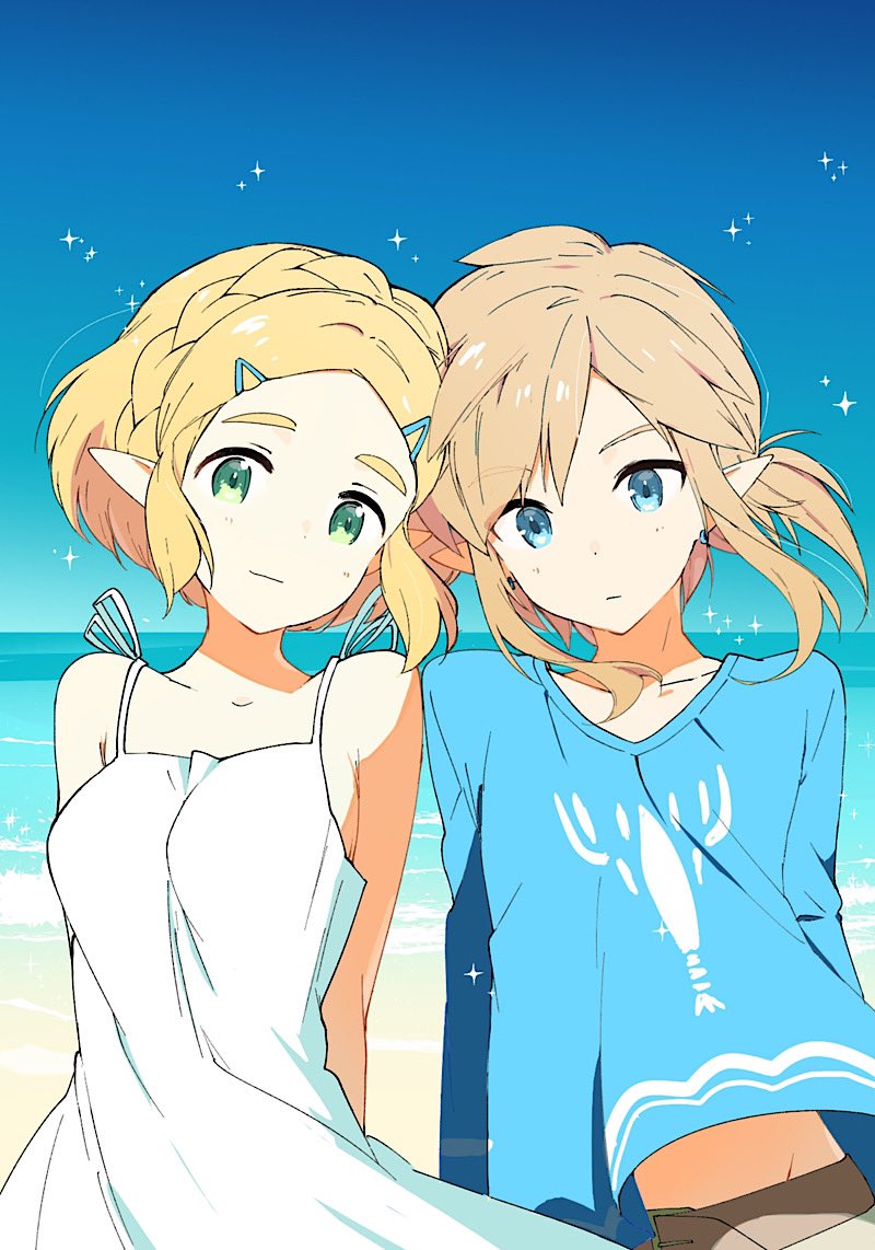 link and princess zelda (the legend of zelda and 1 more) drawn by o_ga
