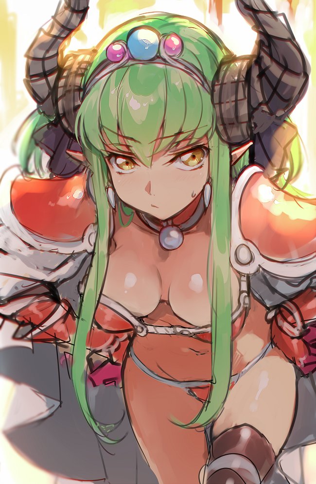 c.c. and elizabeth bathory (fate and 2 more) drawn by creayus