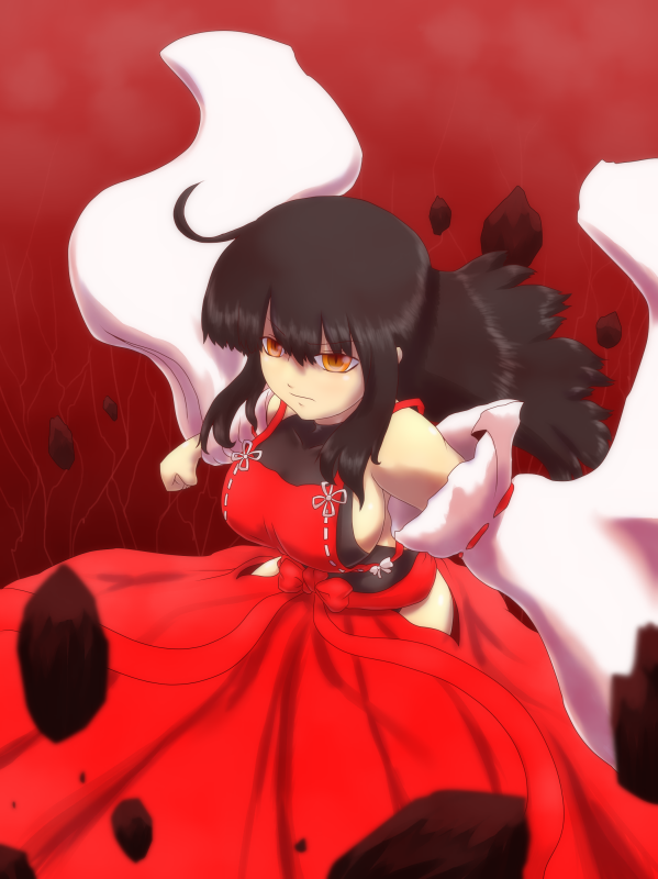 sendai hakurei no miko (original and 2 more) drawn by don9899