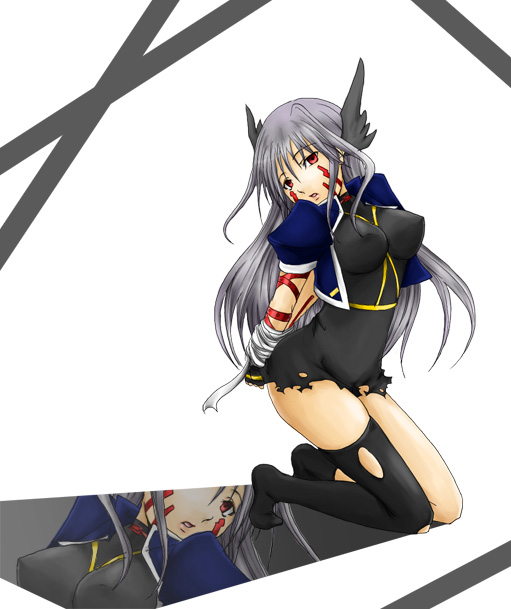reinforce (lyrical nanoha and 2 more) drawn by aona_(anagasaki)