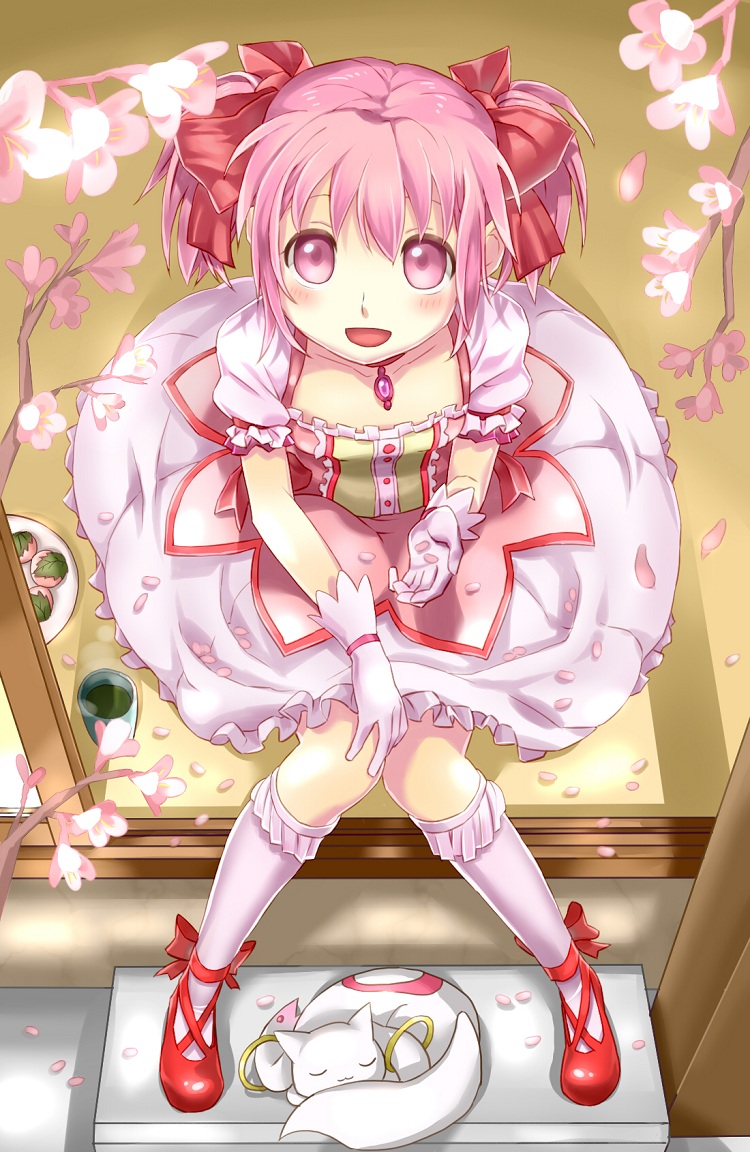 kaname madoka and kyubey (mahou shoujo madoka magica) drawn by king-keisuke