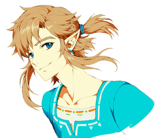 link (the legend of zelda and 1 more) drawn by muse_(rainforest)