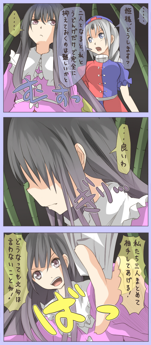 houraisan kaguya and yagokoro eirin (touhou) drawn by shuga_(soranote)