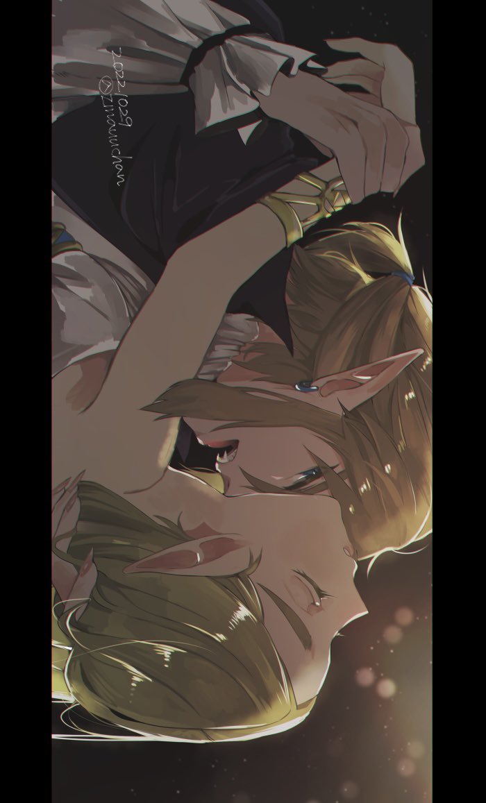 link and princess zelda (the legend of zelda and 1 more) drawn by zmauuchan