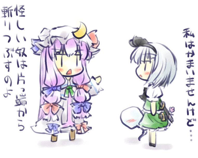 konpaku youmu and patchouli knowledge (touhou) drawn by natsuki_(silent_selena)