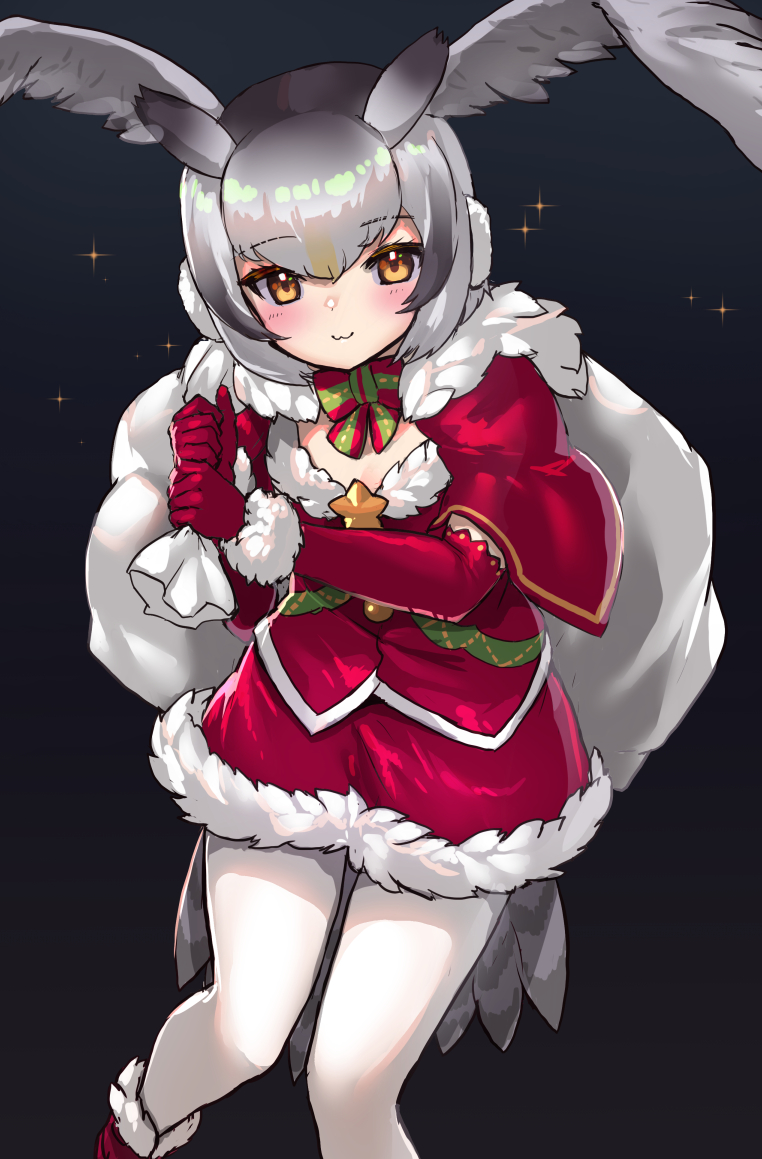 northern white-faced owl (kemono friends) drawn by tadano_magu