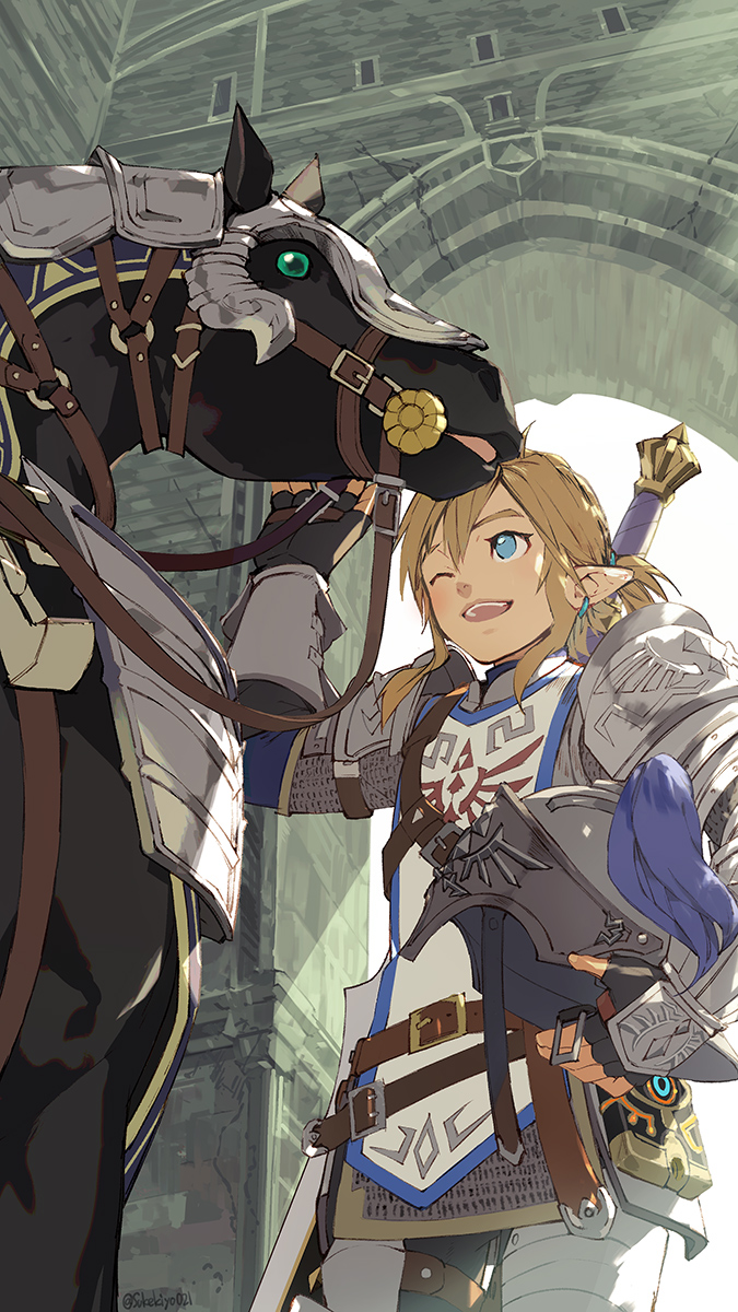 link (the legend of zelda and 1 more) drawn by sukekiyo021