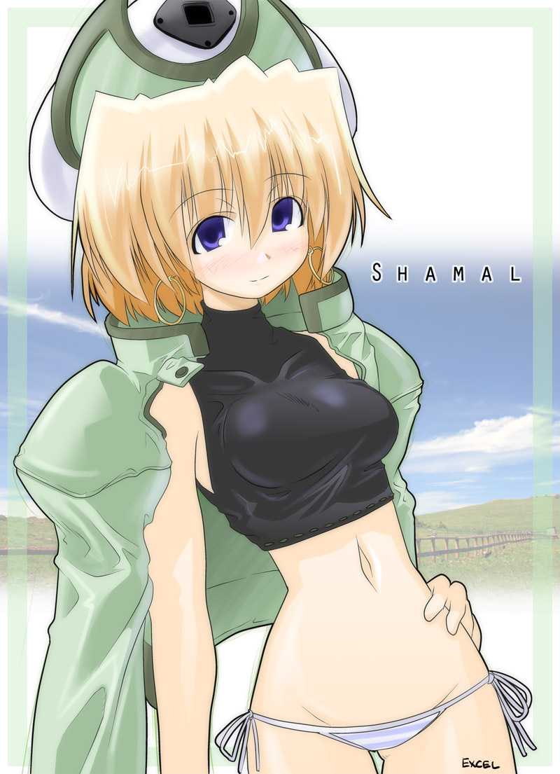 shamal (lyrical nanoha and 2 more) drawn by excel_(gewalt)