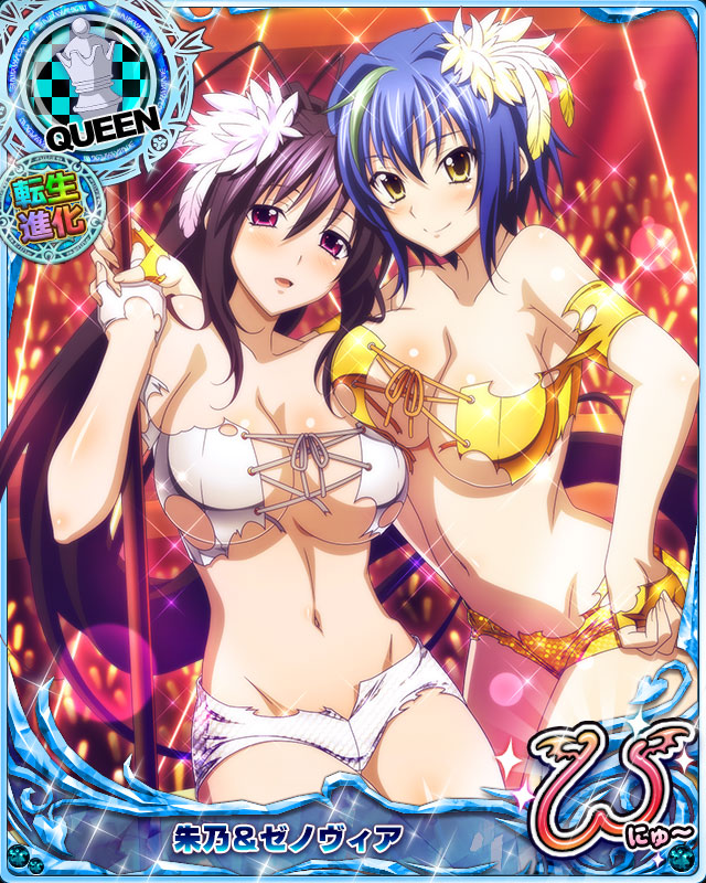 himejima akeno and xenovia quarta (high school dxd and 1 more)
