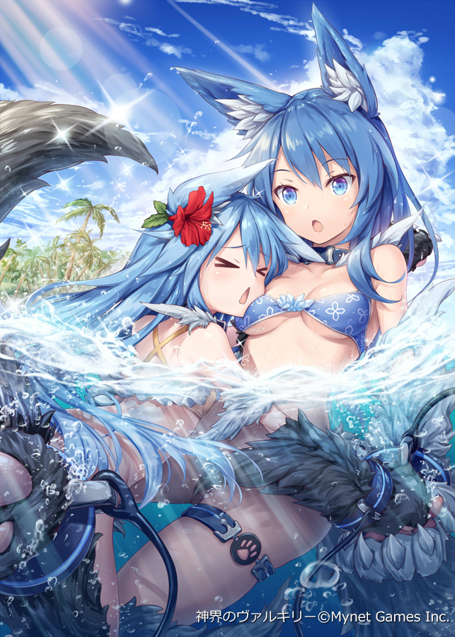 fenrir and skoll (shinkai no valkyrie) drawn by akkijin