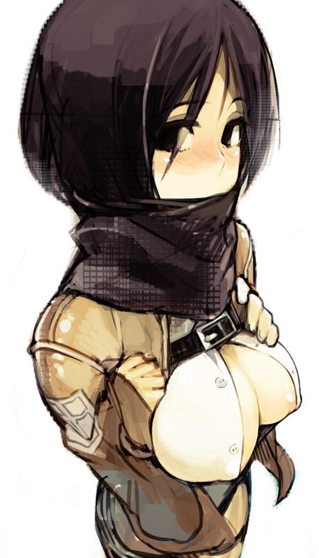 mikasa ackerman (shingeki no kyojin) drawn by namaniku_atk