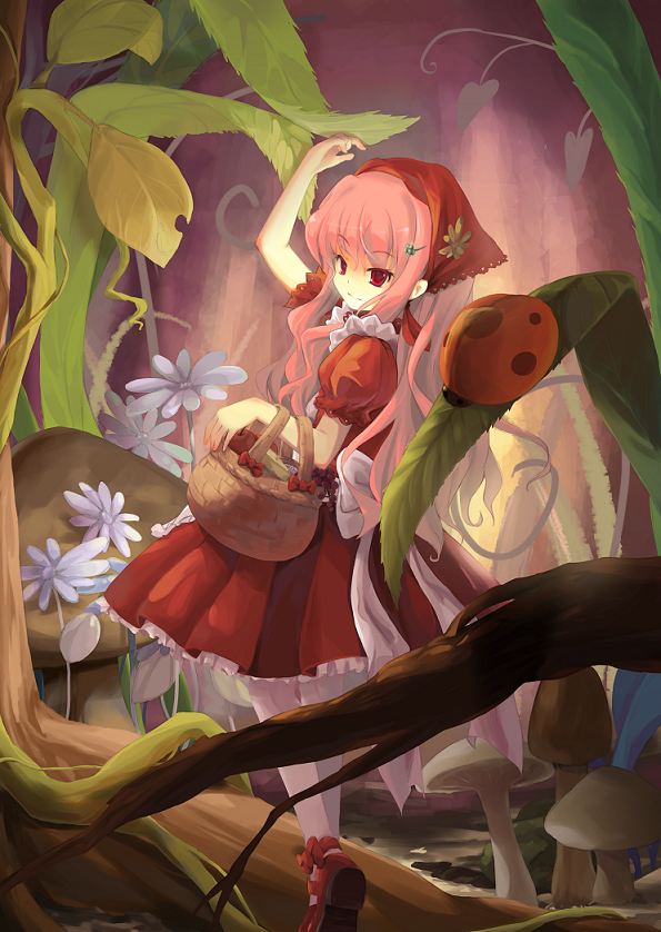 louise francoise le blanc de la valliere and little red riding hood (zero no tsukaima and 1 more) drawn by zhao_shuwen