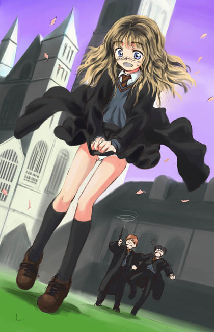 hermione granger, harry potter, and ron weasley (wizarding world and 1 more)