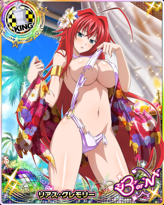 rias gremory (high school dxd and 1 more)
