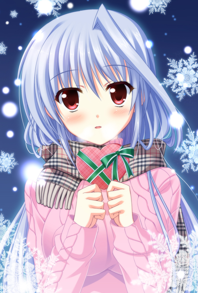 reinforce (lyrical nanoha and 1 more) drawn by endori