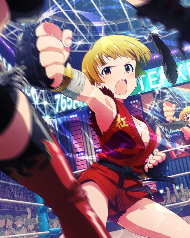 kazama jin, tokugawa matsuri, fukuda noriko, devil jin, and paul phoenix (idolmaster and 3 more)