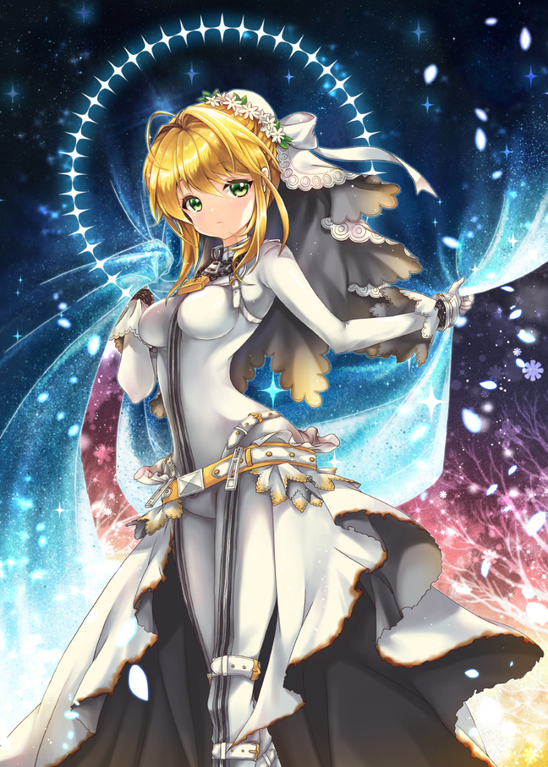 nero claudius (fate and 2 more) drawn by jian_(sezuru)