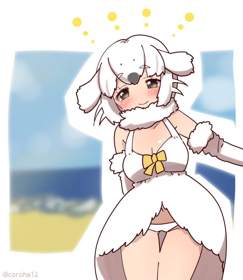 harp seal (kemono friends) drawn by coroha