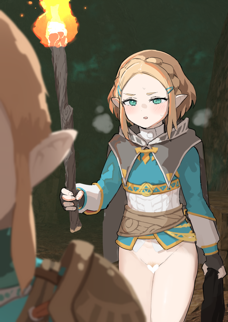link and princess zelda (the legend of zelda and 1 more) drawn by samidare_(hoshi)