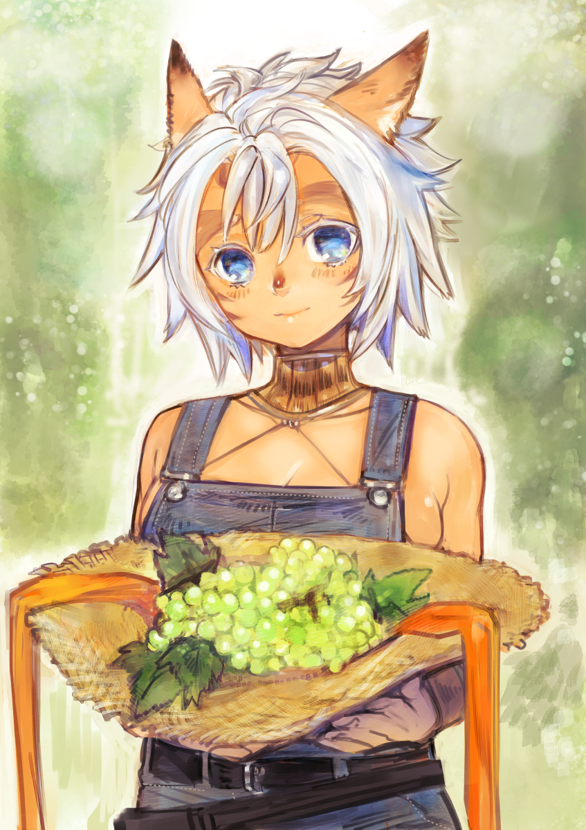 adventurer (final fantasy and 1 more) drawn by doraeshi