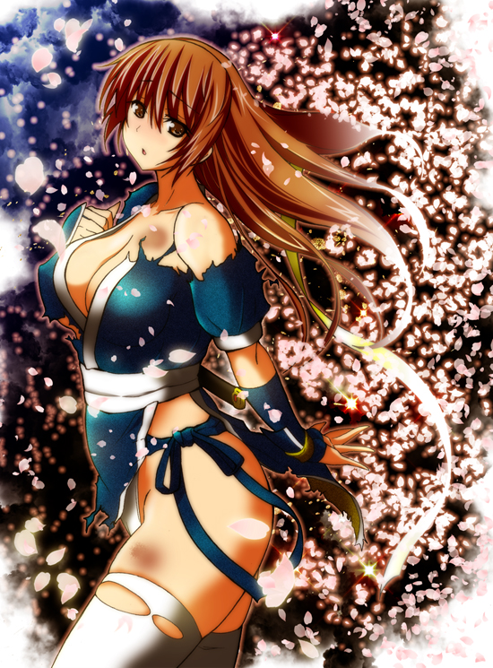 kasumi (dead or alive) drawn by kettsu