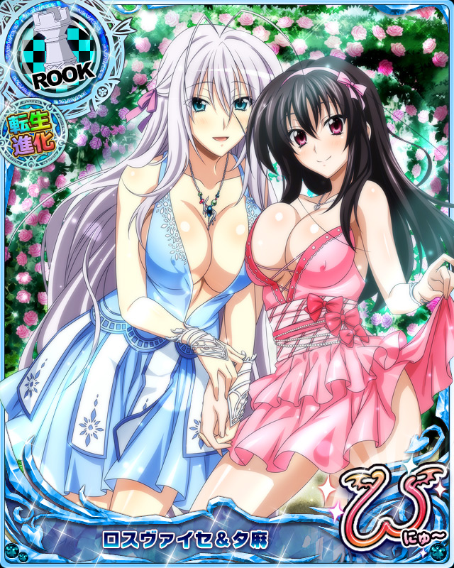 rossweisse and raynare (high school dxd and 1 more)