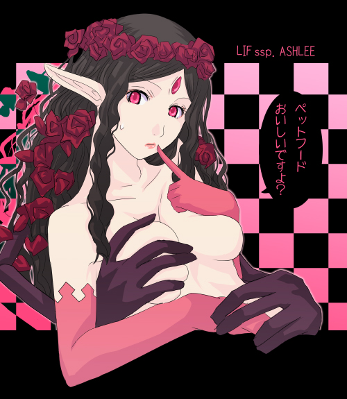 lif (ragnarok online) drawn by mr.romance