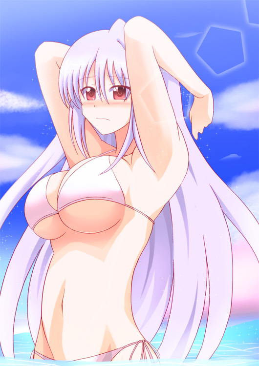 reinforce (lyrical nanoha and 1 more) drawn by azumaya_hironaru