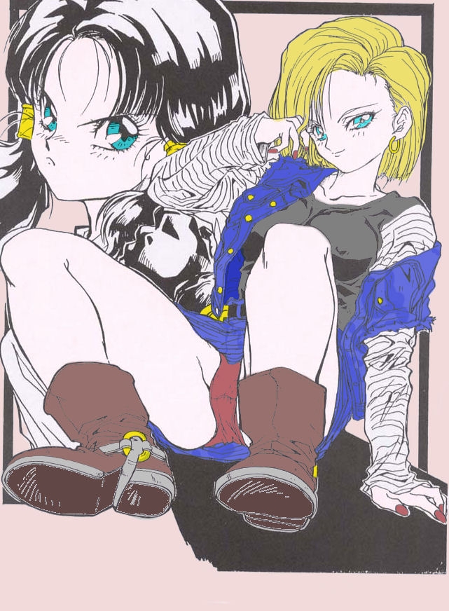 android 18 and videl (dragon ball and 1 more)