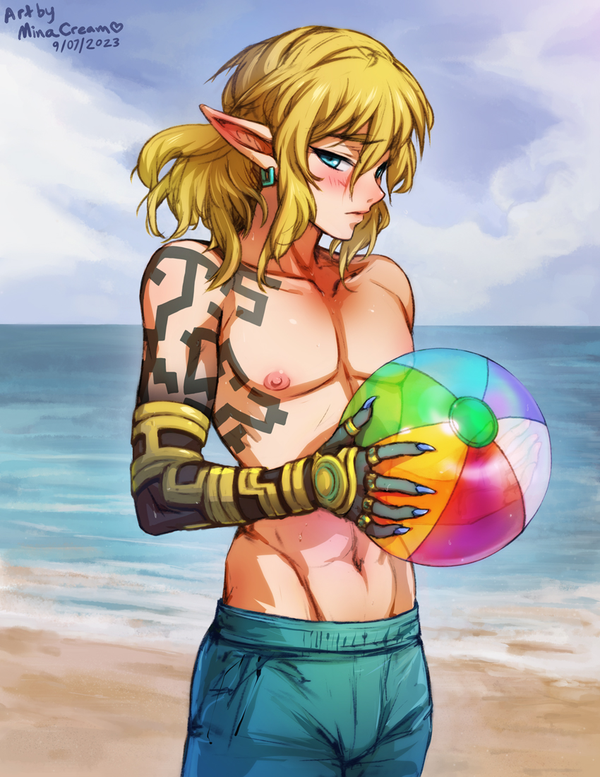 link (the legend of zelda and 1 more) drawn by mina_cream