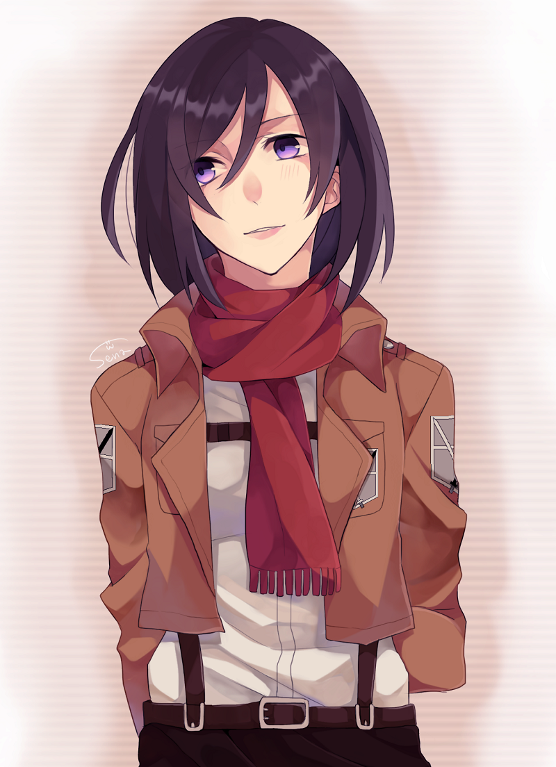 mikasa ackerman (shingeki no kyojin) drawn by sena_02