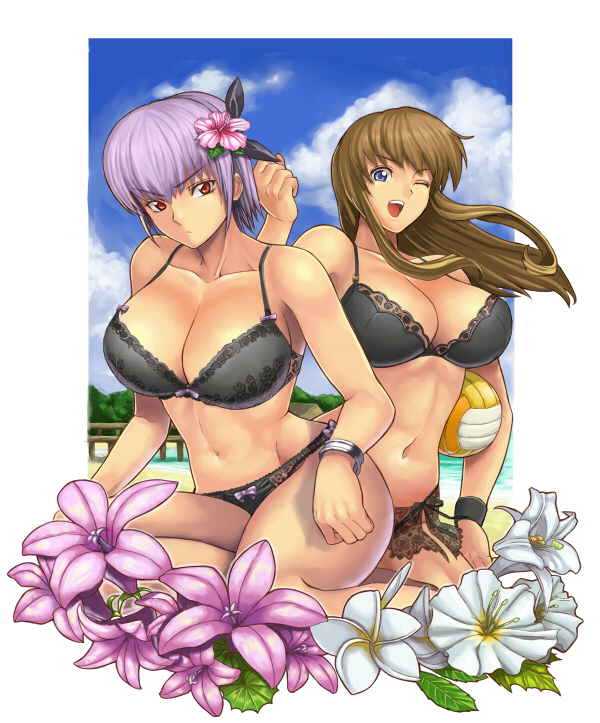 ayane and hitomi (dead or alive) drawn by ibanen