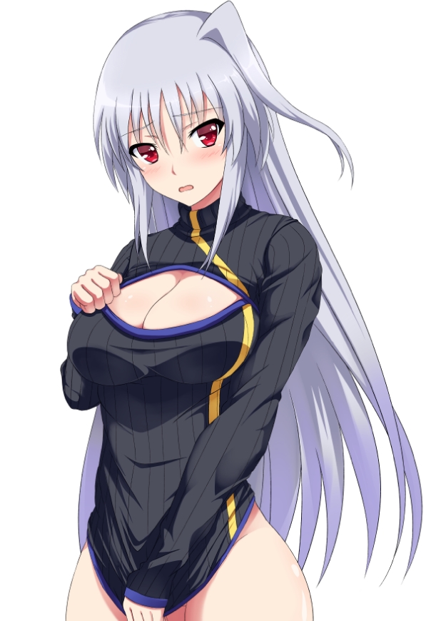 reinforce (lyrical nanoha and 2 more) drawn by inoshira