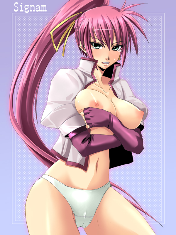 signum (lyrical nanoha and 2 more) drawn by ichimedoo
