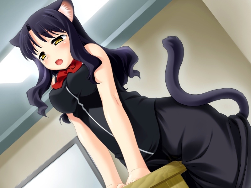 kuu (wanko to kurasou) drawn by mizuki_kotora