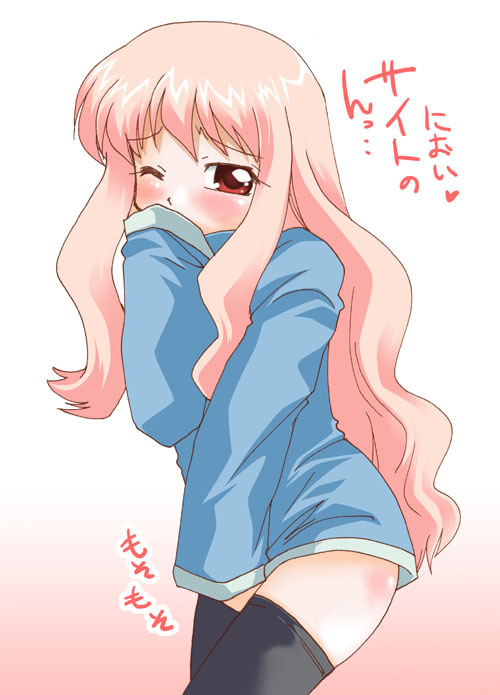 louise francoise le blanc de la valliere (zero no tsukaima)